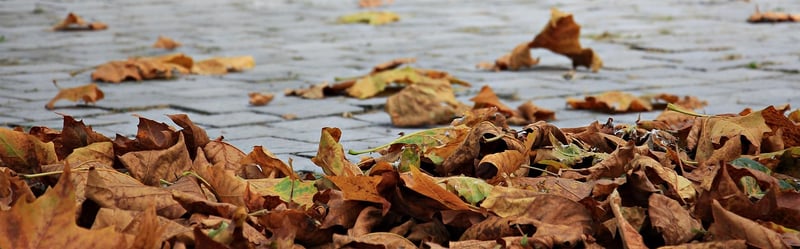 Autumn dining table